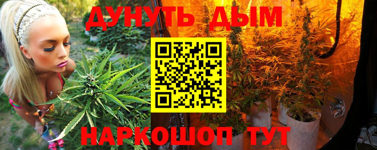 Саранск  Конопля Amnesia  Вход с VPN  Конопля White Widow 